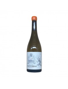 Las Envidias 2019 - Barco...