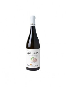 "Gallieno" Lazio Igt Malvasia Puntinata 2018 - Riserva della Cascina