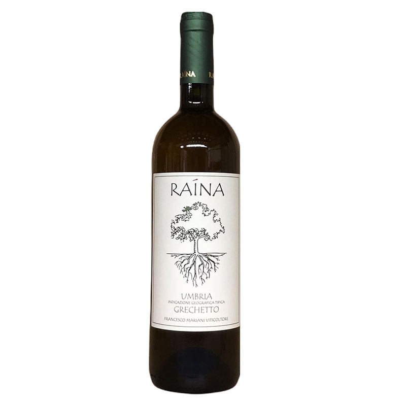 Umbria Grechetto IGT 2024 - Raìna