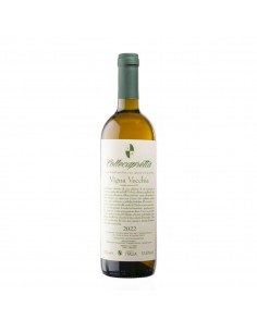 Vigna Vecchia 2025...