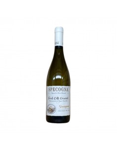 Sauvignon DOC Friuli 2025 -...